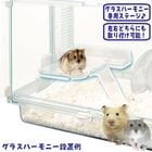 �ϡ���ˡ����ơ�����/���ե� ���� ���饹�ϡ���ˡ����� �ϥॹ���� GEX