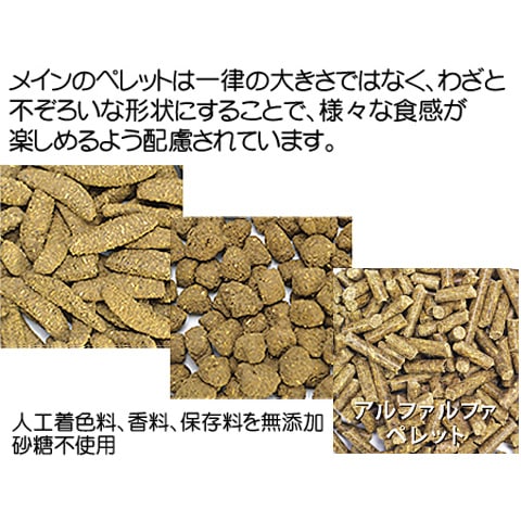 ウェルバランス チンチラフード/主食 ご飯 えさ ミックスフード