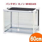 �ѥ�ƥ��� ���Υ� �ۥ磻�� WH6045�ڰ��٤Τ���ʸ��1�Ĥޤǡ�/���饱���� ���饹������ PANTHEON ���󥳡� SANKO ��������