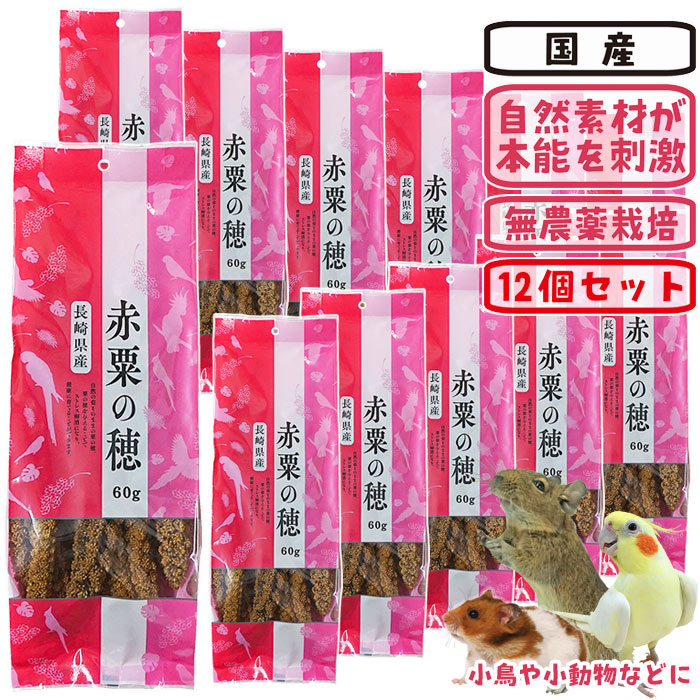 29周年セール中】長崎県産 赤粟の穂【12個セット・1個あたり773円