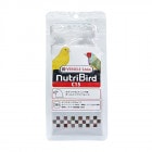 �˥塼�ȥ�С��� C15 ���ʥꥢ���ե����/�ա��� ���� �ڥ�å� ʸĻ VERSELE-LAGA