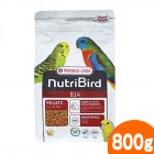 �˥塼�ȥ�С��� B14 ������������������ 800g/�ա��� ���� �ڥ�å� ������������ VERSELE-LAGA