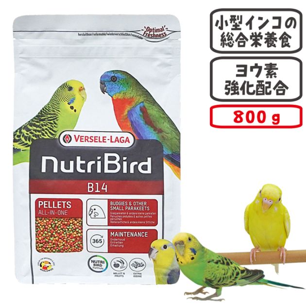 ニュートリバード B14 セキセイ＆小型インコ 800g/フード エサ