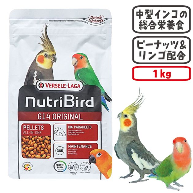 �˥塼�ȥ�С��� G14 ���ꥸ�ʥ��淿���� 1kg/�ա��� ���� �ڥ�å� �����ᥤ�� VERSELE-LAGA