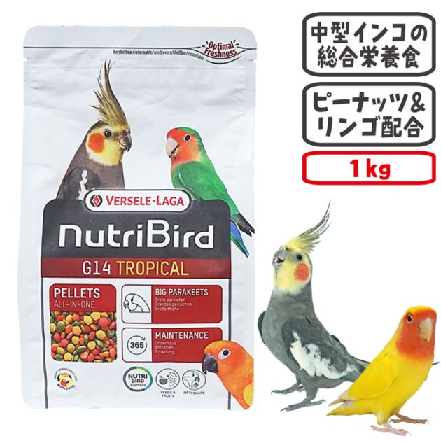 �˥塼�ȥ�С��� G14 �ȥ��ԥ����淿���� 1kg/�ա��� ���� �ڥ�å� �����ᥤ�� VERSELE-LAGA