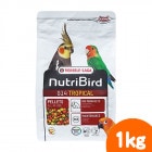 �˥塼�ȥ�С��� G14 �ȥ��ԥ����淿���� 1kg/�ա��� ���� �ڥ�å� �����ᥤ�� VERSELE-LAGA