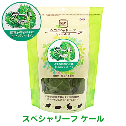 PRO スペシャリーフ ケール 国産/おやつ フード うさぎ モルモット