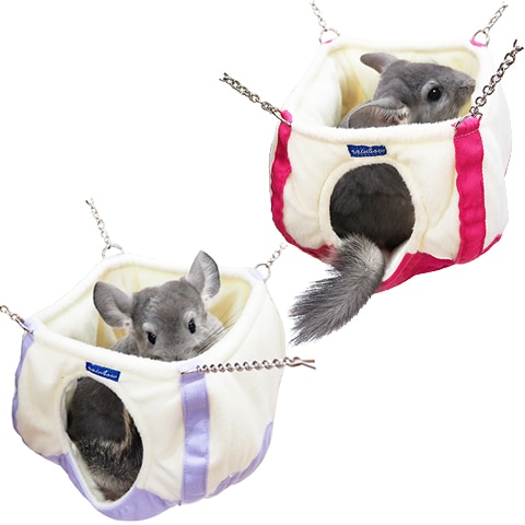 �쥤��ܡ� �������ݥå�/�ϥ��� �ϥ��å� �ե���å� ������� Rainbow