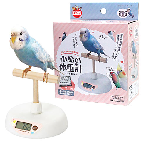 ��Ļ���νŷ�/�ϥ��� �ν�¬�� ������������ �����ᥤ�� ʸĻ �ޥ륫�� minimalLAND