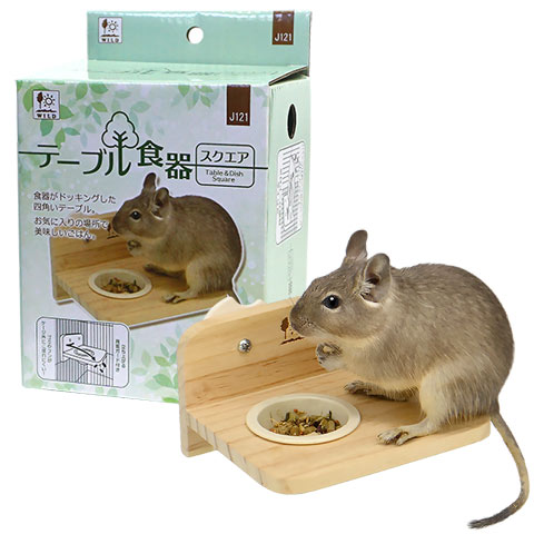 テーブル食器 スクエア/エサ入れ ステージ デグー リス モモンガ SANKO