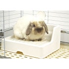 28ǯۤʤ߲ȥ iv/ߥˤ åץ䡼 ͥ Υդ 󥳡 SANKO WILD 