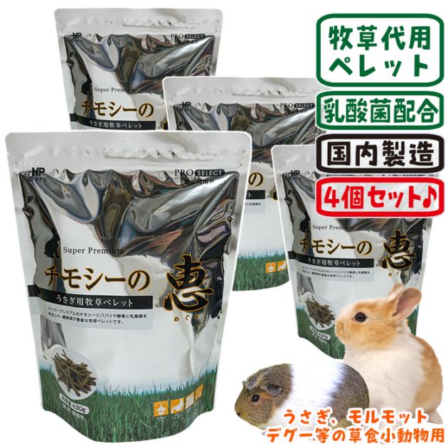 ���⥷���η� 430g��4�ĥ��åȡ�1�Ĥ�����1445�ߡ�/�ա��� ���� �ڥ�å� ������ ����å� ������� �ǥ��� �ϥ��ڥå�