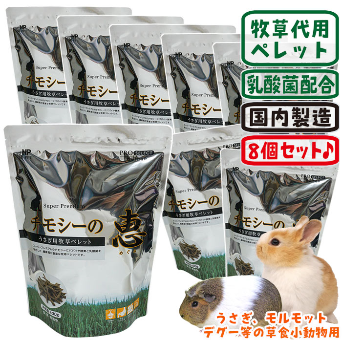 ���⥷���η� 430g��8�ĥ��åȡ�1�Ĥ�����1374�ߡ�/�ա��� ���� �ڥ�å� ������ ����å� ������� �ǥ��� �ϥ��ڥå�