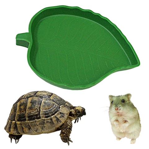 ꡼եǥåM/  ȥ쥤 ꥯ  ҥ ϥॹ