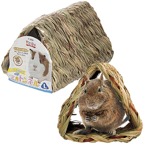 ѤȥͥL/  ŷǺ ǥ ԥå꡼ ɡ SUDO