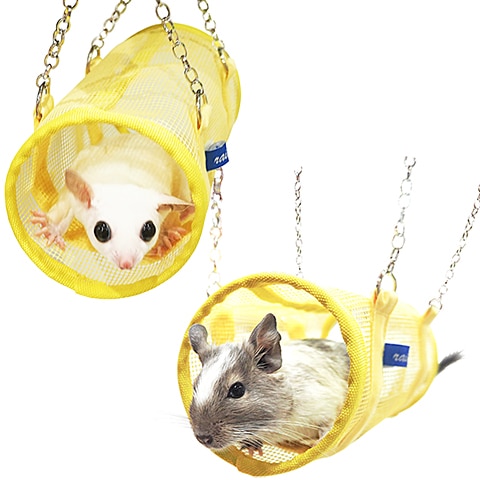 �쥤��ܡ� ���󥬤Υ�å���ȥ�ͥ�/�ߤ겼�� ���� �ǥ��� Rainbow