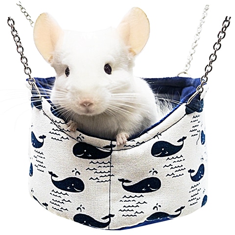 �쥤��ܡ� ������饵������ ������/�ϥ��� �ϥ��å� ������� Rainbow