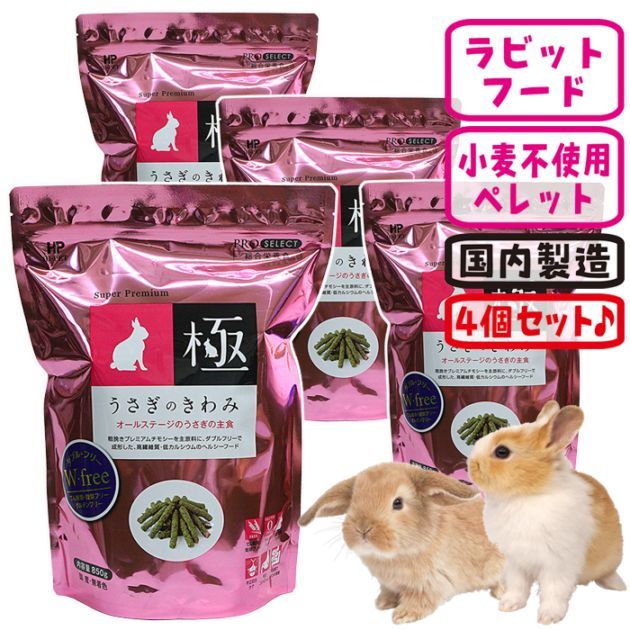 ڿ̸ò桪ۤΤߡ4ĥåȡ1Ĥ1499ߡ/ ա  ڥå ƥե꡼ ӥå ϥڥå