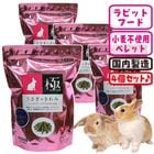 ڿ̸ò桪ۤΤߡ4ĥåȡ1Ĥ1499ߡ/ ա  ڥå ƥե꡼ ӥå ϥڥå