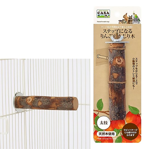 CASA ���ƥåפˤʤ� ��󤴤Τ������� ����/�Ȥޤ��� �ߤޤ��� ������ ��Ļ ������ ������� �ǥ��� �ޥ륫�� CASA