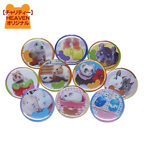 ڥƥHEAVEN ưʪĻ̥Хå1/Хå Хå