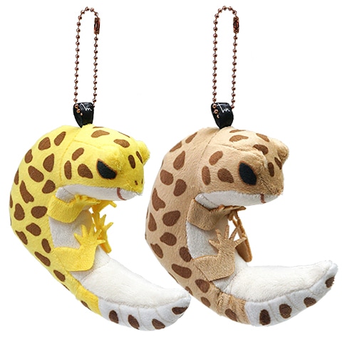 ���¤�ҥ祦���ȥ�����ɥ� �����ۥ����/�쥪�ѡ��ɥ��å��� �ܡ���������� �̤������ TST