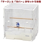 ֥Сɥӥ 37פȡ֥ꥢСפΥå/Ļ Сɥ  ʸĻ SANKO 