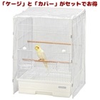 ֥Сɥӥ 37LTפȡLTѥꥢСפΥå/Ļ Сɥ  ʸĻ SANKO 