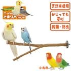 ˡΤȤޤ ֥/ߤޤ Ȥޤ Ļ 󥳡 SANKO 