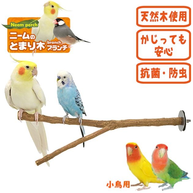 ニームのとまり木 ブランチ/止まり木 とまり木 小鳥 サンコー SANKO 三