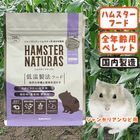 ڿ̸ò桪ۥϥॹʥ饹 󥬥ꥢ/ա  ڥå ɥ SANKO 