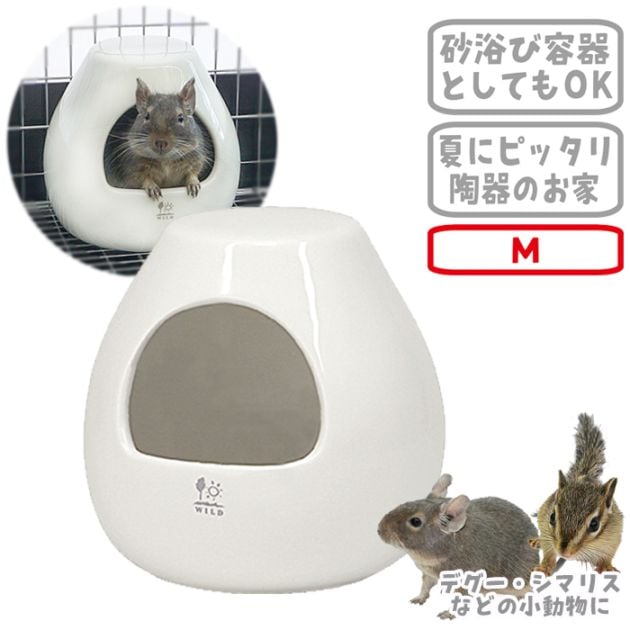�ݥåȥϥ��� M/���� ���� ƫ�� ����� �ǥ��� ���ޥꥹ SANKO ��������