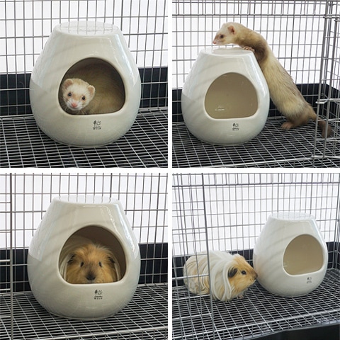 ポットハウス L/お家 寝床 陶器 砂浴び デグー チンチラ SANKO 三晃