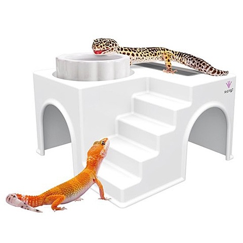 �֥����ϥ����פȡ֥����ǥ��å��� M�פΥ��å�/�ϥ��� ����� �ץ饹���å� �ҥ祦��� �ȥ��� �ޥ륫�� MARUKAN