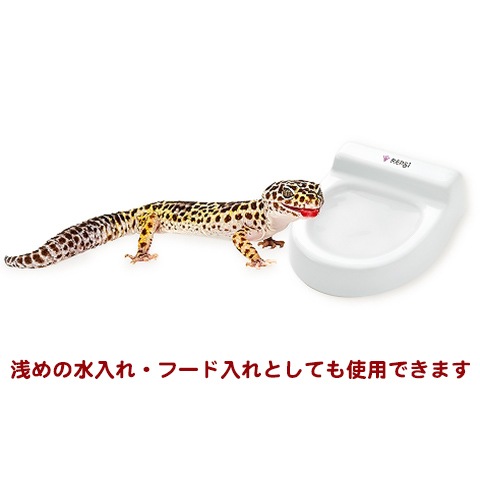 レオパード トイレセット 数量限定特価セール中！】ジオトイレ レオパ/陶器 トイレ ヒョウモン
