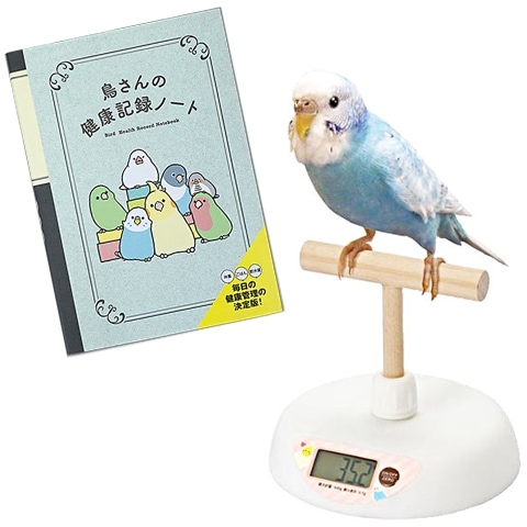 Ļη򹯵ϿΡȡפȡ־ĻνŷספΥå/  ȯк ϥ ν¬    ʸĻ Ļ