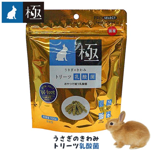 うさぎのきわみ トリーツ乳酸菌/極 おやつ グルテンフリー 国産 ウサギ