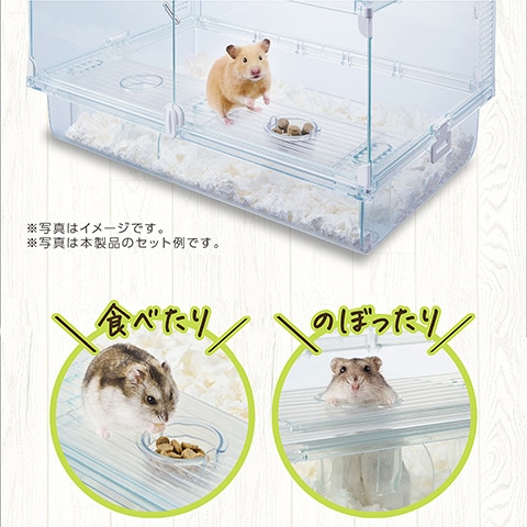 かんな⭐︎たまごっち♡様確認用　ハムスター　グラスハーモニー450用　ロフト巣箱 ハーモニーランウェイ450/グラスハーモニー450専用 ハムスター