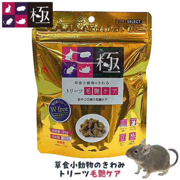 �𿩾�ưʪ�Τ���� �ȥ꡼���ӱ𥱥�/�� ����� ����ƥ�ե꡼ �� ������ ������� ����å� �ǥ��� �ϥ��ڥå�