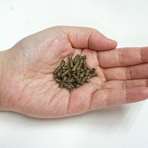 Rabbit Gift 1kg/ラビットギフト フード エサ ペレット バニー うさぎ