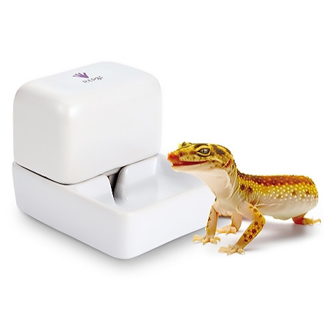 ジオタンク/給水器 水入れ 陶器 ヒョウモン 爬虫類 マルカン