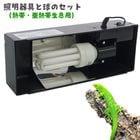 �֥���ѥ��ȥȥå�30N�פȡ֥�ץ����륳��ѥ��ȥץ� Ǯ�ӡ���Ǯ����©������� 23W�פΥ��å�/�������ѥ饤�� �糰�� UVB UVA �ӥ��ߥ�D3 ���� �ȥ���