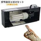 �֥���ѥ��ȥȥå�30N�פȡ֥�ץ����륳��ѥ��ȥץ� ������©������� 23W�פΥ��å�/�������ѥ饤�� �糰�� UVB UVA �ӥ��ߥ�D3 ���� �ȥ���