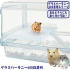 �ϡ���ˡ����ơ�����/���ե� ���� ���饹�ϡ���ˡ����� �ϥॹ���� �ϥ�ͥ��� GEX