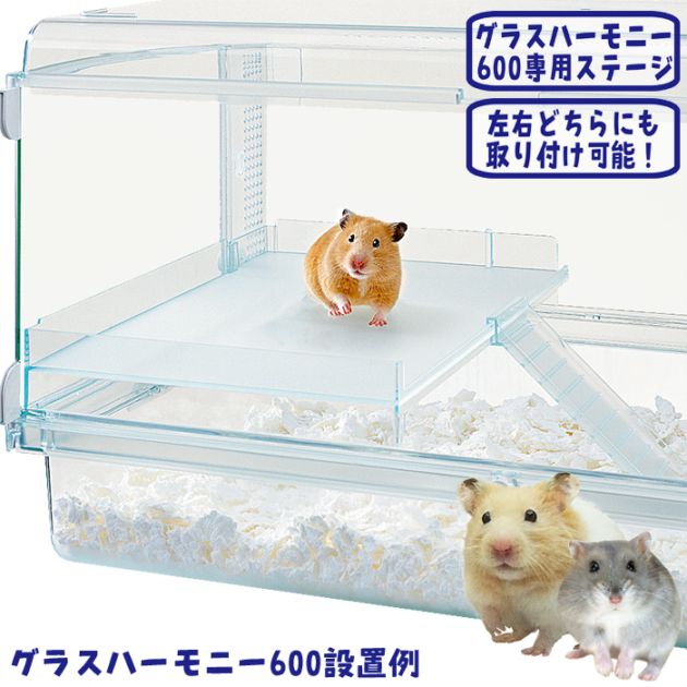柴どっぐ様確認用 ハムスター グラスハーモニー600用 ロフト( ルーミィ ハーモニーステージL/ロフト 中段 グラスハーモニー専用