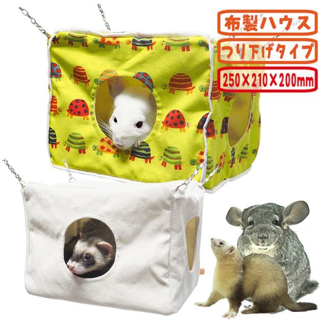 ��28��ǯ��������ۥ쥤��ܡ� �ߤ�ʤΥ���ƥʥϥ���/�ϥ��� ���� �Ĥ겼�� ������� �ե���å� Rainbow