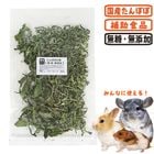 ݤݤաڹ񻺡̵źá/ ա  ݥ  å  ǥ ϥॹ