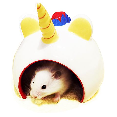 ��28��ǯ��������ۥ쥤��ܡ� ��ưʪ�Υ��˥ޥ�ɡ��� ��˥�����/�ϥ��� ���� ����� ƫ�� ������ǥ�ϥॹ���� �ǥ��� Rainbow