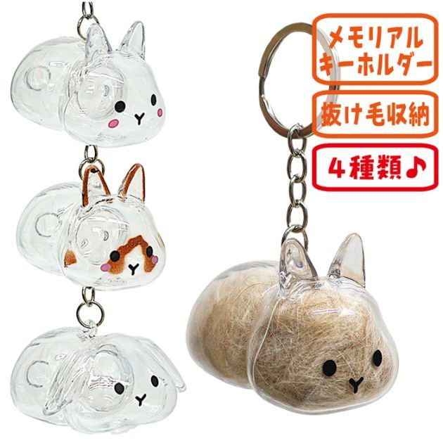 λʬȡۥ/ӼǼ    ͥ å  ܥȥ 