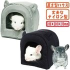 쥤ܡ ޤäۡ/դϥ  ߤ겼 ʥ Rainbow